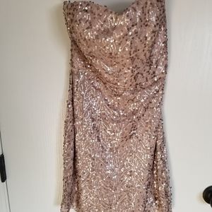 Forever 21 sequin tube dress